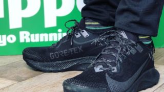 NIKE / PEGASUS TRAIL 2 GORE-TEX - トリッパーズ Trippers West Tokyo